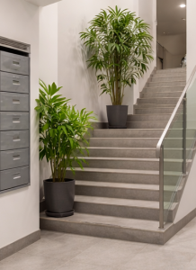 Limpieza Zonas Comunes